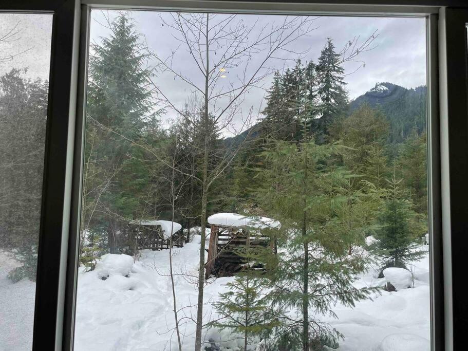 אשפורד Cozy Tiny Home Steps Away From Mt. Rainier מראה חיצוני תמונה